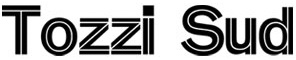 TOZZI SUD S.P.A.