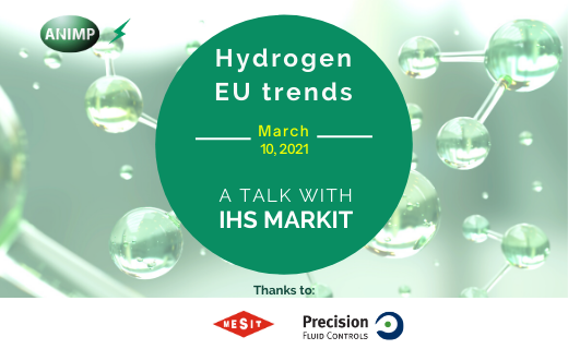 Webinar ANIMP_IHS Markit_sponsor